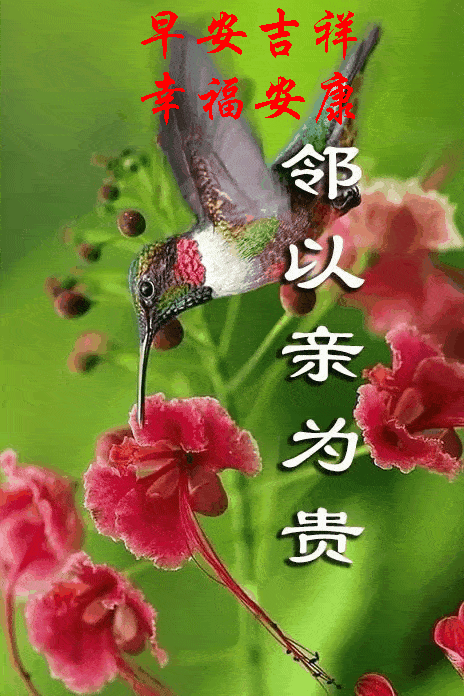 464_696 竖版 竖屏