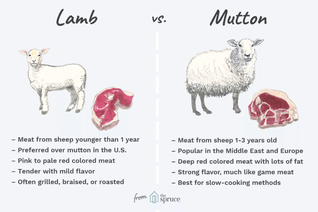 羊肉用英语怎么说可不要直接翻译为sheepmeat