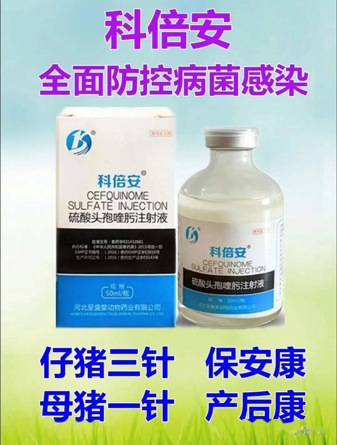 ae8be1852f444b7fbc07063ea0f579ec.jpeg