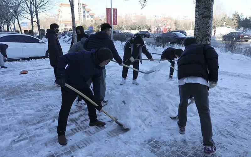 除雪破冰,内民大在行动_铲雪车