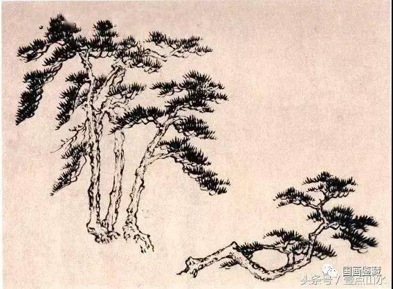 《富春山居图》中的松树画法解析