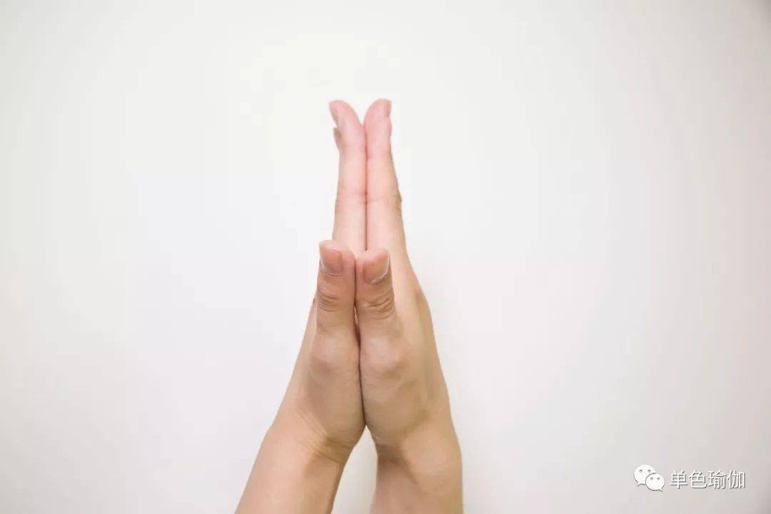 瑜伽人必看：这些常见的手印你知道多少？泛亚电竞(图6)