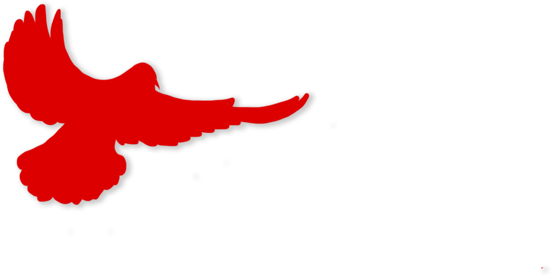 c53a1a1378e24d3b8b512b6e3ec01247.png