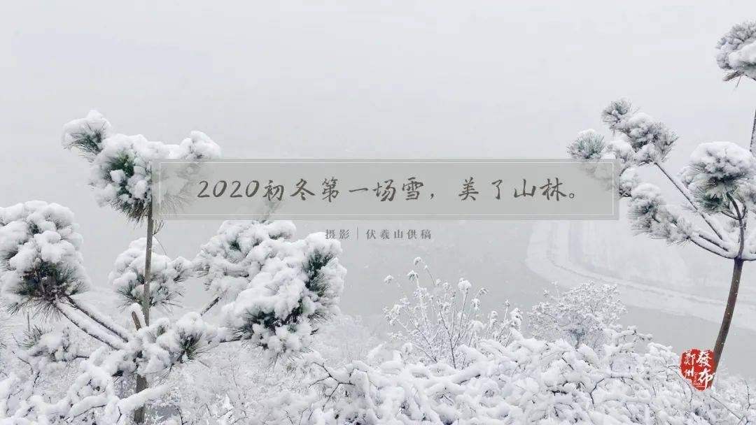 4a357061a4544b2f8991b8a78af2fc80.jpeg