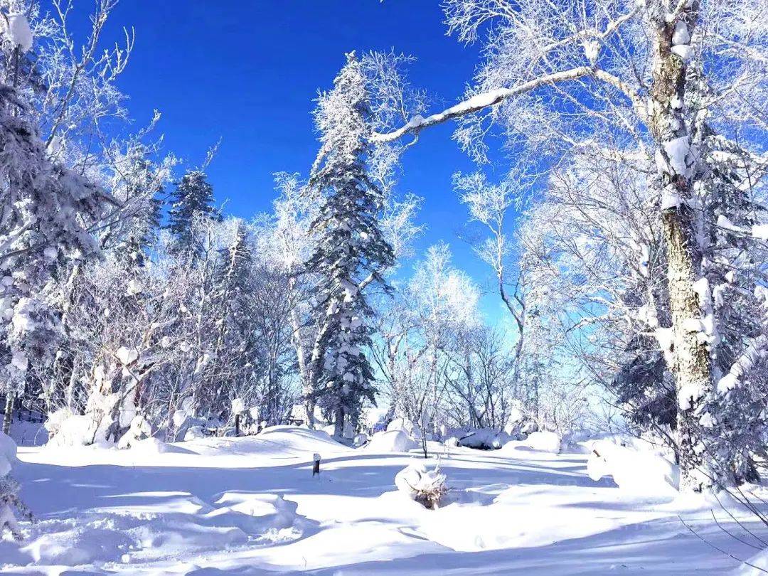 winter冰雪十里画廊万里雪飘的北国风光;在【冰雪十里画廊】赏千里