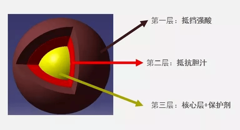 肠道|不仅会丑还容易胖？睡前这一步没做对，一觉醒来老10岁！睡不好