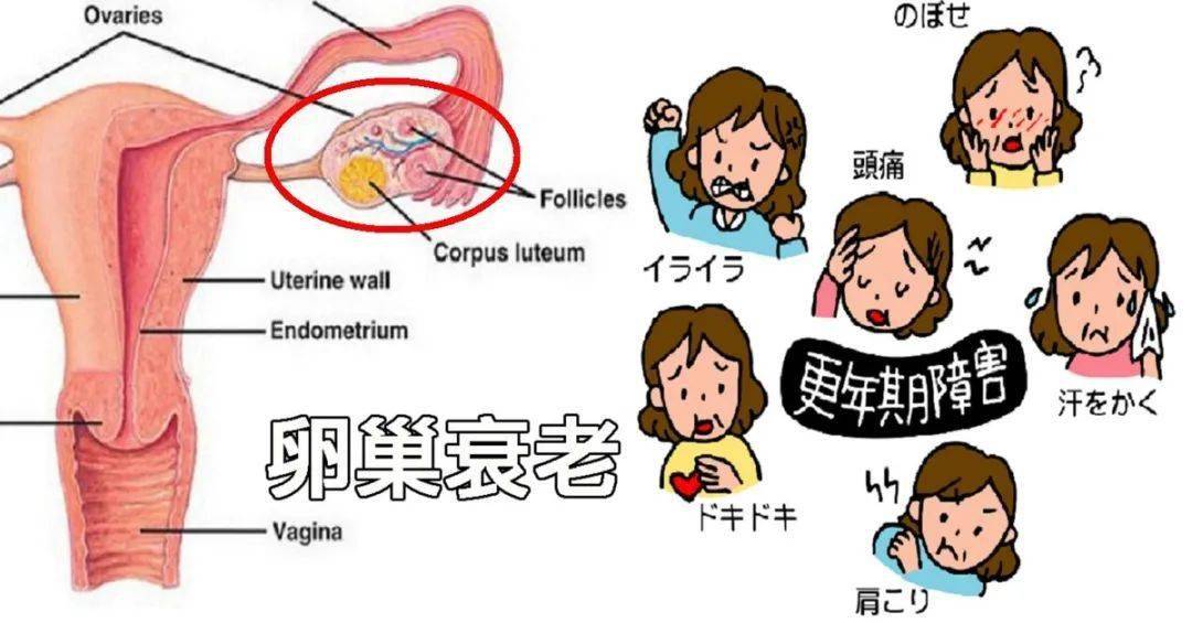 与人口角后突发呼吸困难_呼吸困难图片(3)