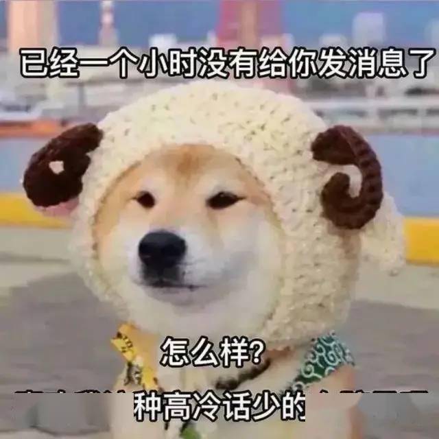 07cb01424a874086b014b49be900dc29.jpeg
