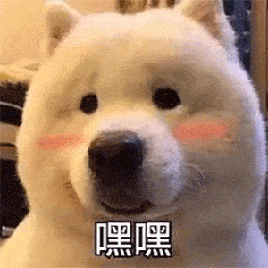 18fff92d19f94030b63a6028962d477a.gif