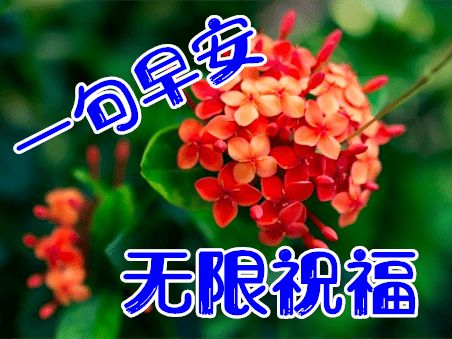 81e0fb6d86814c6c9997250e1e5ea341.png