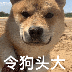 c7919d52587d424897f2fefcefaa93eb.gif