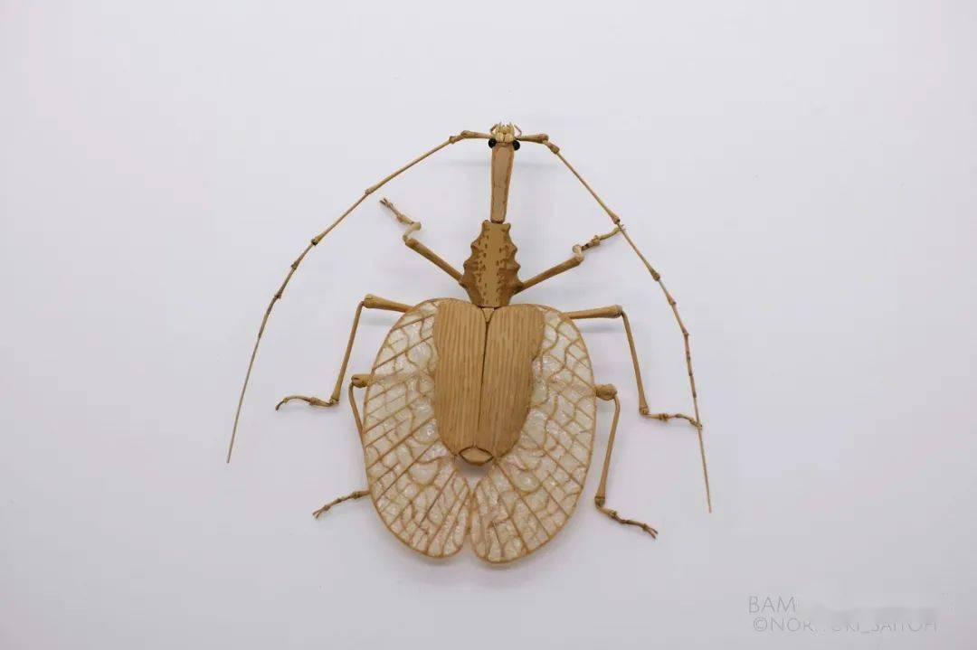 日本手工艺人用竹子就能作出逼真的昆虫模型_手机搜狐