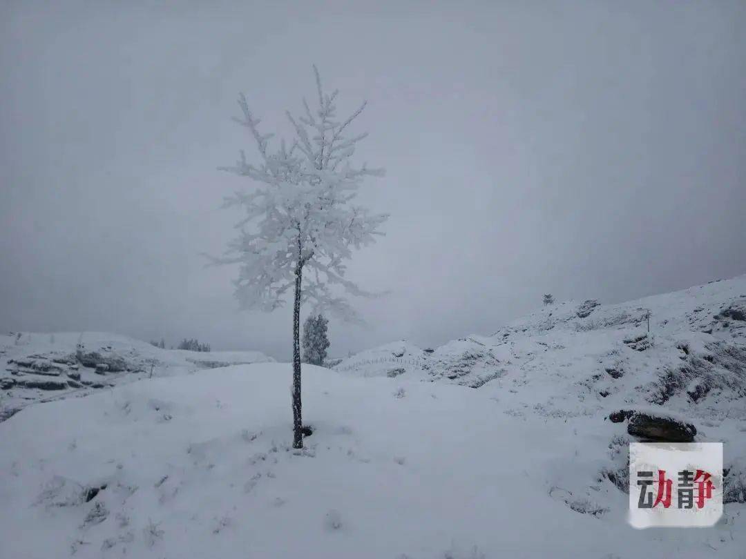 贵州旅游|贵州下雪啦！这些雪景图实在太美了！你那边下雪没？ - 知乎