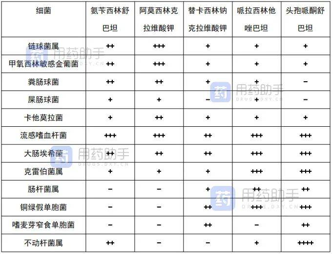 三,临床常用含酶抑制剂的 β-内酰胺类抗菌药的活性二,已上市 β‐内