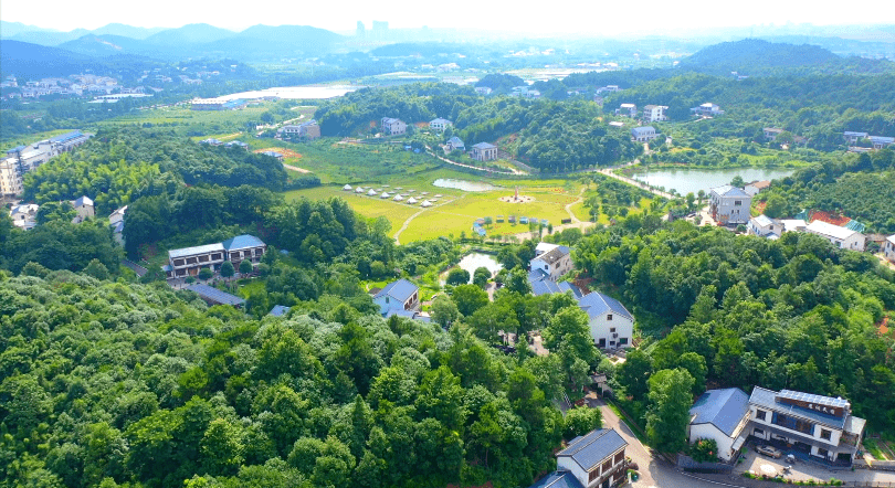 白箬铺镇:党建引领 打造乡村振兴示范样板