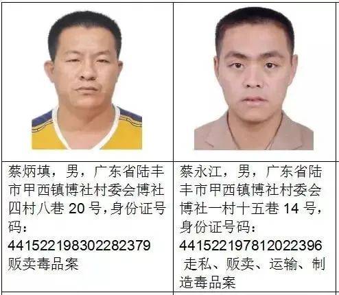 陆丰多少人口_陆丰x7(2)