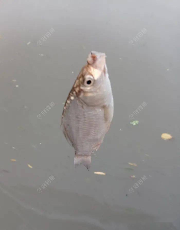 625c033ed682470ba28630890cebeea6.jpeg