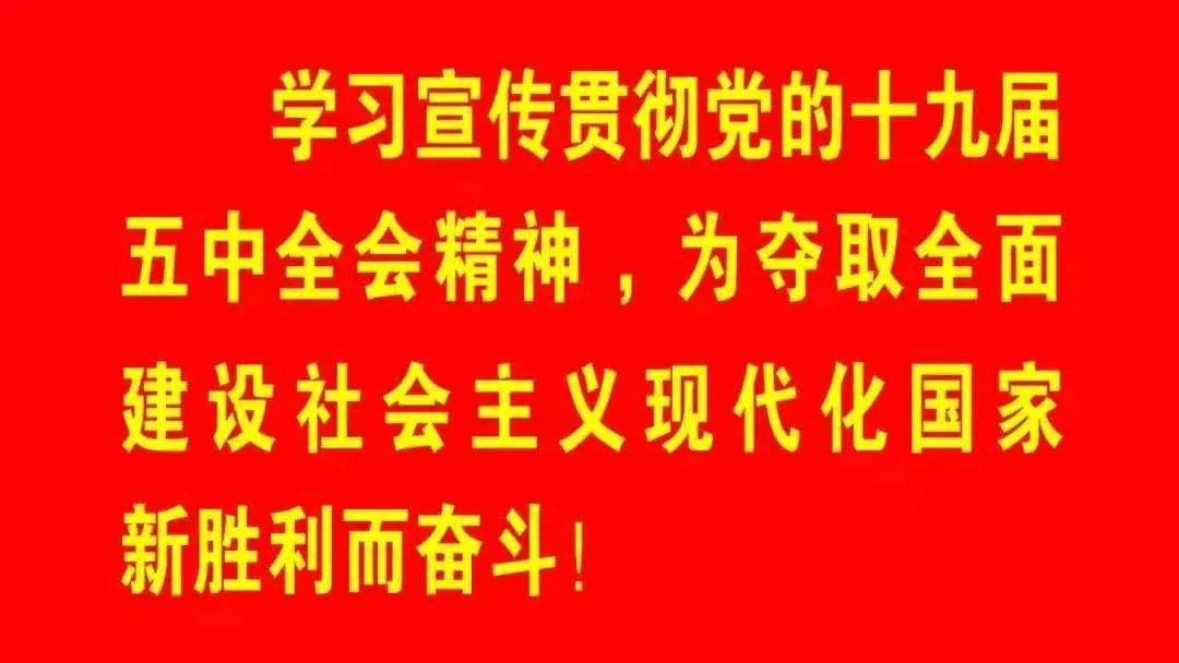 人口日标语_大气世界人口日宣传标语展板(2)