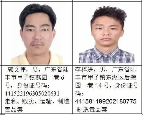 陆丰多少人口_陆丰x7(2)
