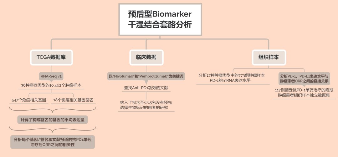 a3486049f1c84cf190573a342ab04544.png