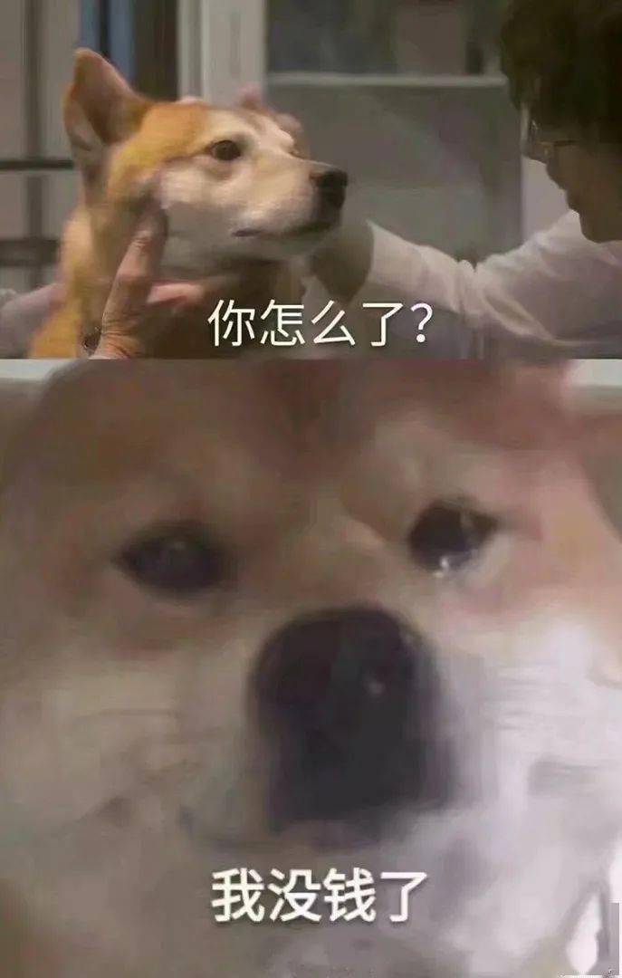疫情下的年轻一代,正处于崩溃的边缘