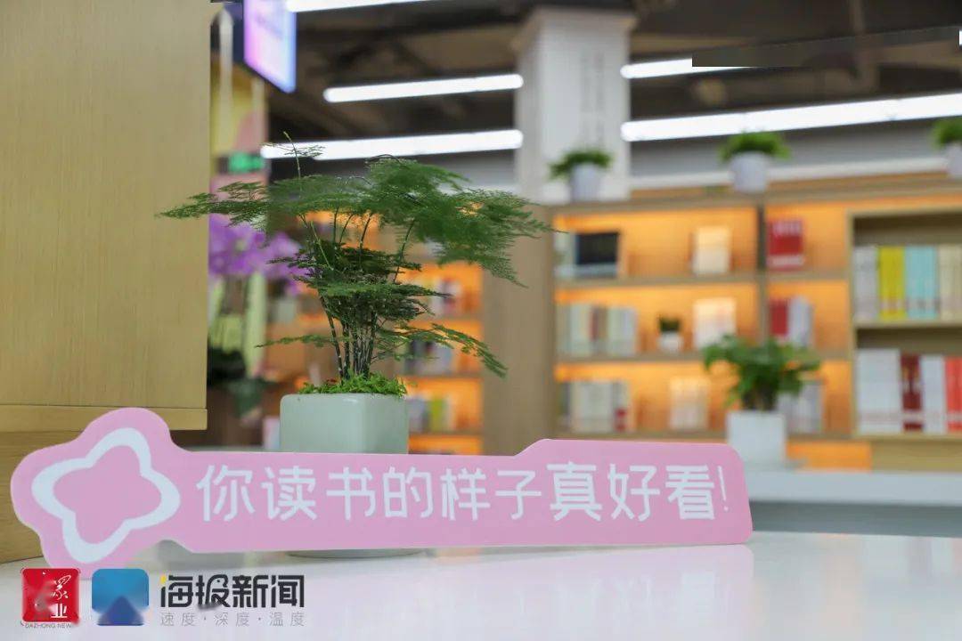 日照市民人口_日照人口(3)