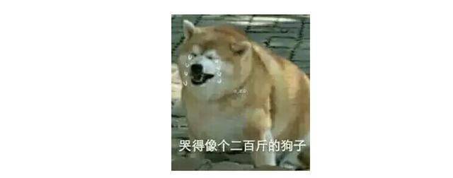 招人_招人去哪个平台_招人文案