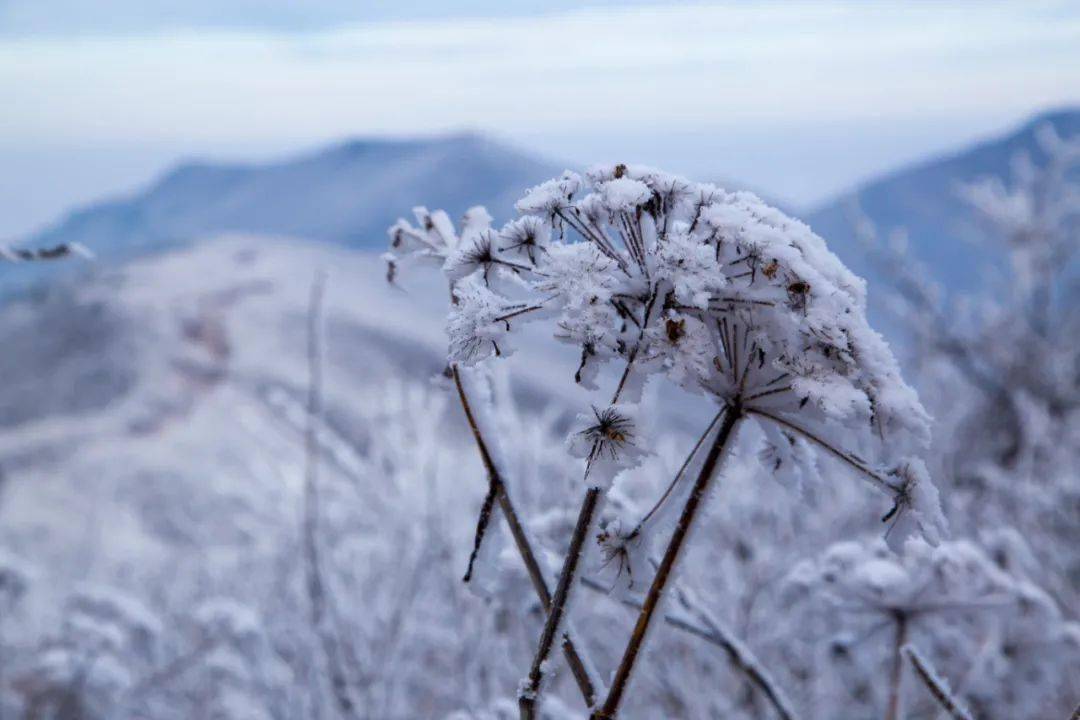 堪比北方雪国!临安这些地方的最新雪景照美哭了