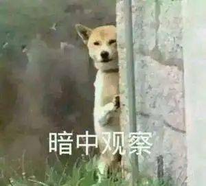 b6464942e4af4fac8c2a693230c380c8.jpeg