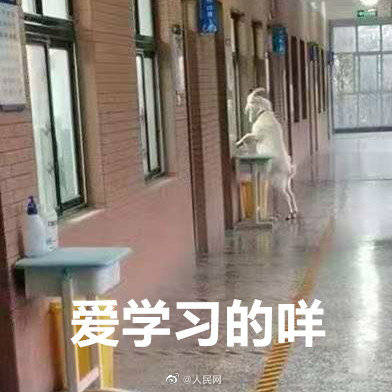 郑州一中学山羊趴窗旁听被无情驱赶