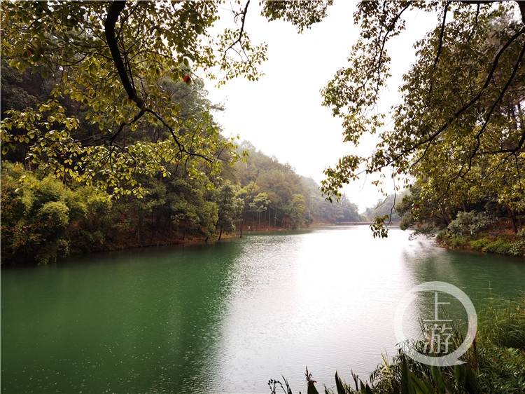 近日,上游新闻·重庆晨报记者从北碚获悉,黛湖景区将整合黛湖沿线水系