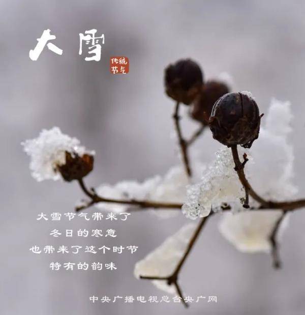 今日大雪!约上小伙伴一起"进补"