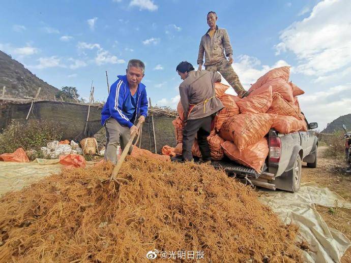 云南贫困人口_国内动态 新华网健康中国