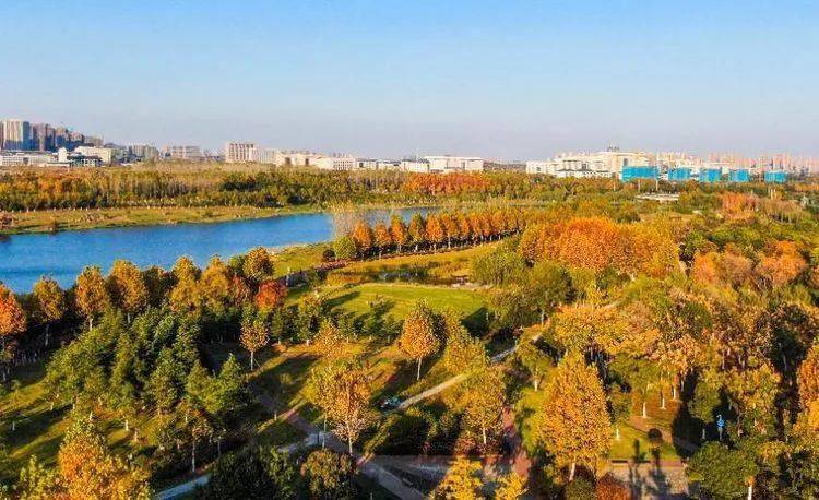 高空视觉,超酷!航拍滨湖塘西河公园,每一张都惊艳 | 航拍公园