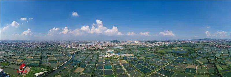 佛山桑园围入选世界级遗产,与都江堰,郑国渠