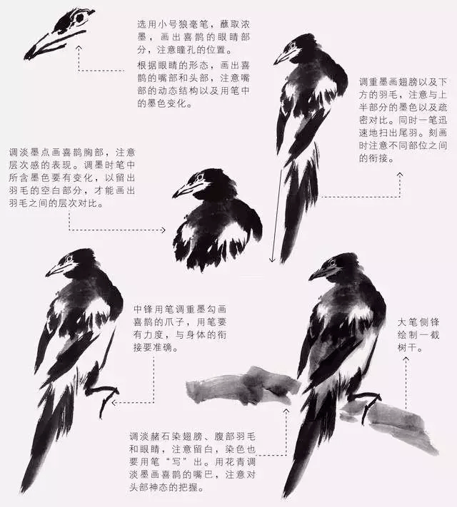 6e240dd813304bc09044b579bedb97af.png