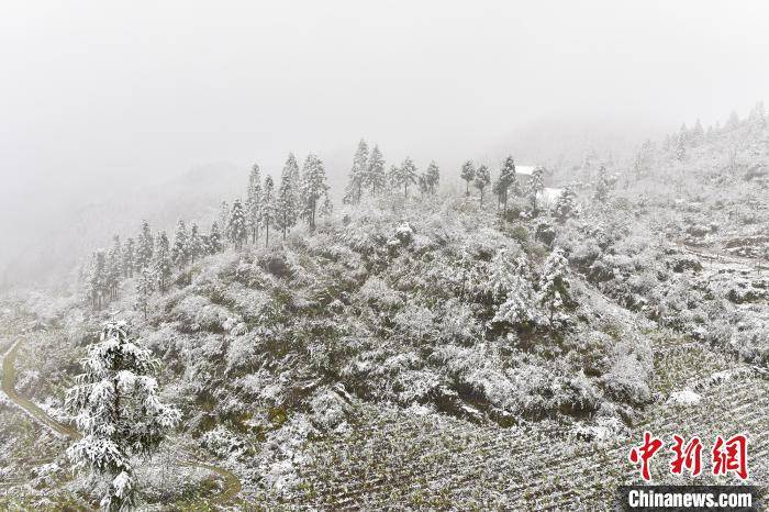 重庆都督乡古村落雪景迷人 雾凇景观宛若仙境