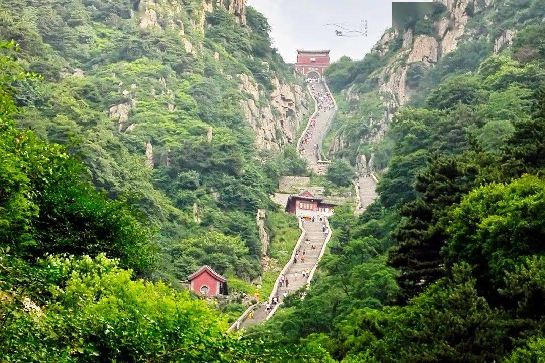 无需携带证件 一部手机游泰山_手机搜狐网