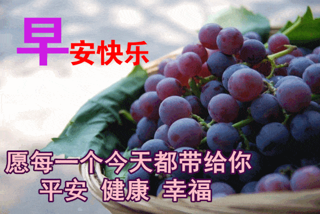 8张最新创意好看的早上好动画水果图片带祝福语 免打字的冬日清晨群发