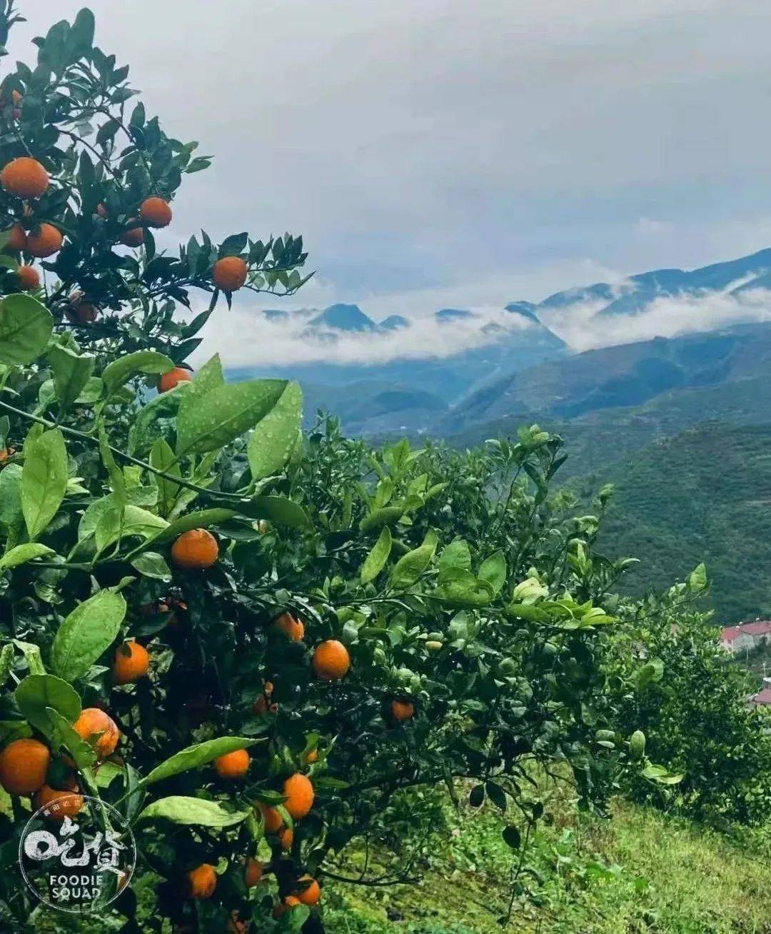 我们来啦_南漳县