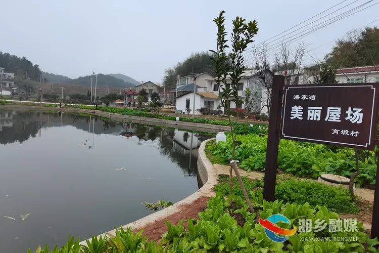 沐浴着冬日暖阳,走进育塅乡育塅村潘家湾美丽屋场,只见干净整洁的