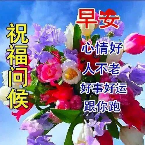 漂亮的鲜花早上好带字问候图片,平安顺心,喜悦安康!