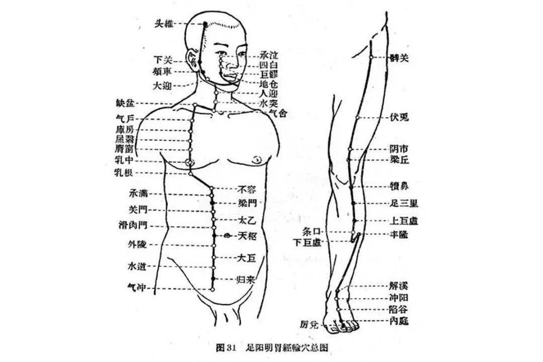 知医|徐文兵:要想颜值高,脾胃先养好