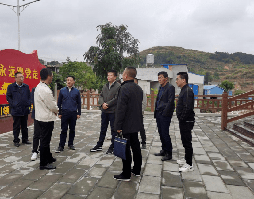 陈向汉到下浒镇调研乡村振兴工作