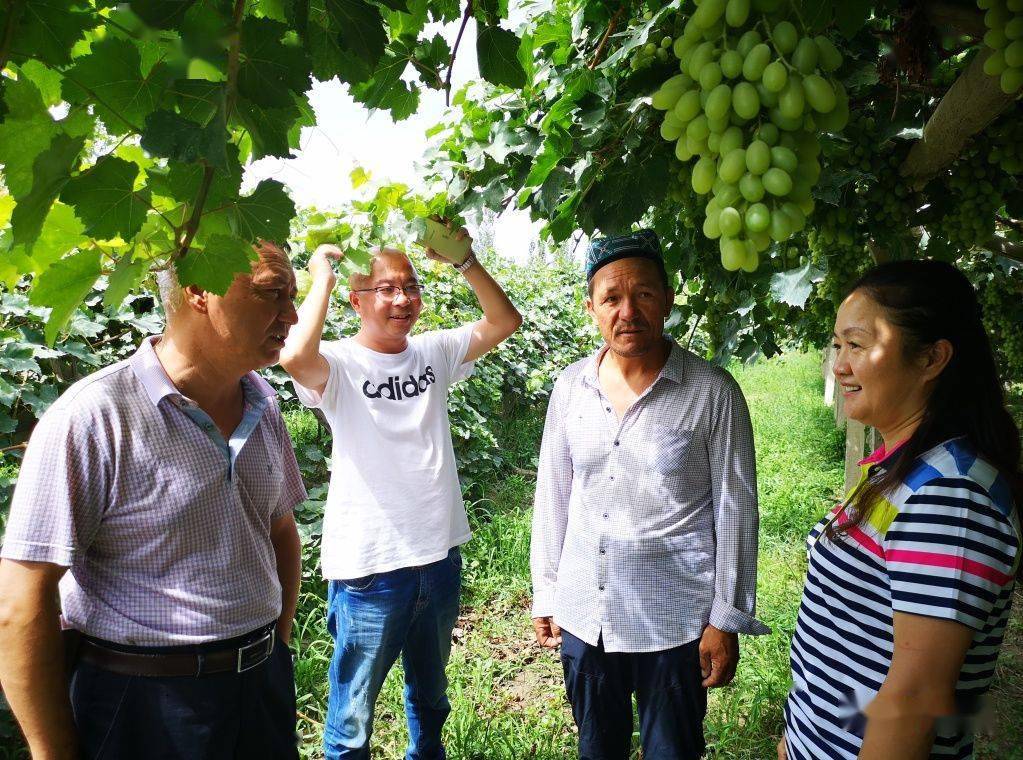 天津静海区多兴庄园农业科技开发有限公司总经理薄春霞十万里路帮扶情