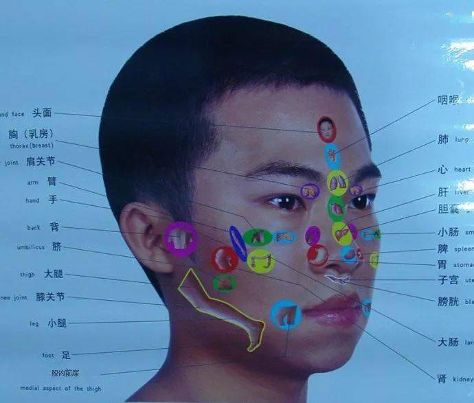 2,头部全息图 8,腹部全息图 11,面部全息图 责任编辑