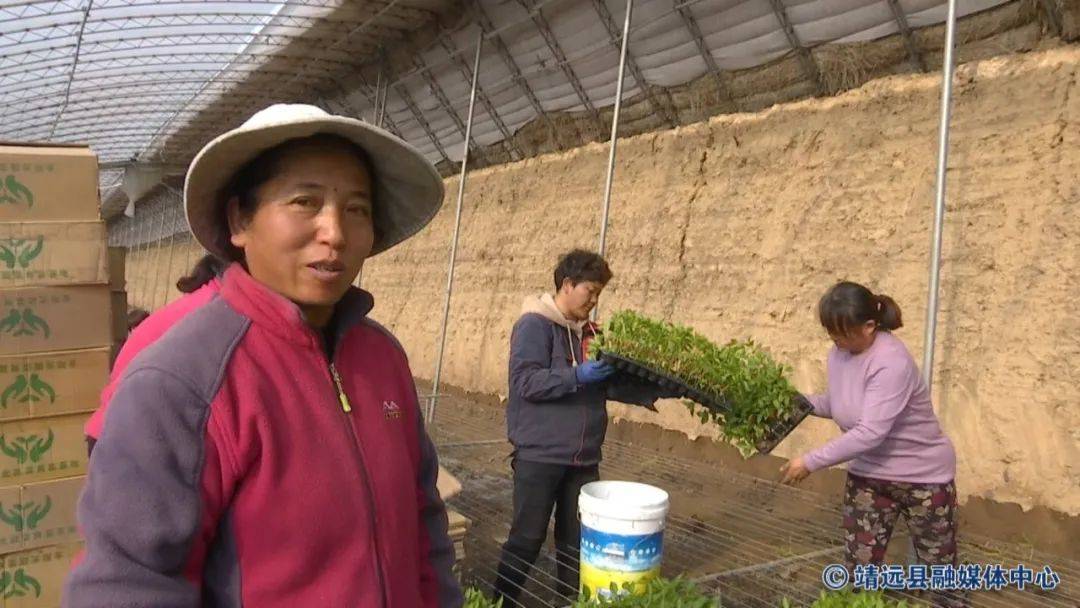 冬季大KAIYUN棚育苗忙 播种丰收新希望(图3)