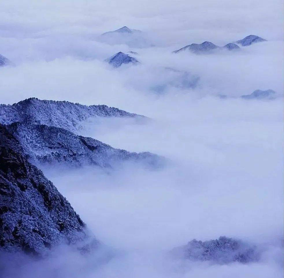 黄山雪景,飘雪温泉(12.18-20号)_手机搜狐网