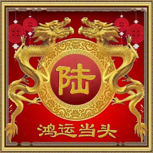 美图鉴赏:微信里那些霸气的中国龙姓氏头像!