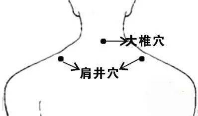 全身最重要的74个穴位讲解